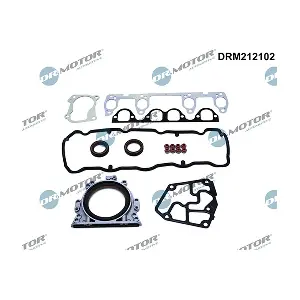LIZARTE DRM212102
