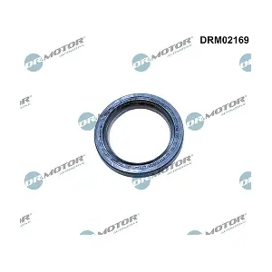 LIZARTE DRM02169