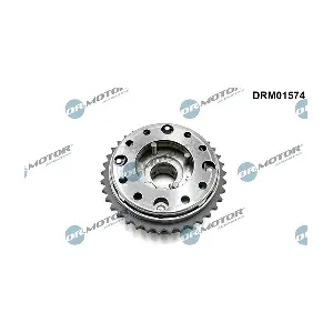 DRM01574 LIZARTE