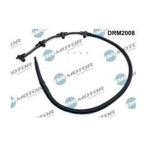 DRM2008 LIZARTE