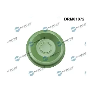 DRM01872 LIZARTE