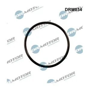 DRM034 LIZARTE