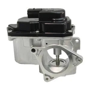 EGR020 LIZARTE