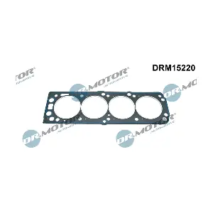 DRM15220 LIZARTE