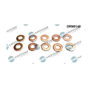 DRM0146 LIZARTE