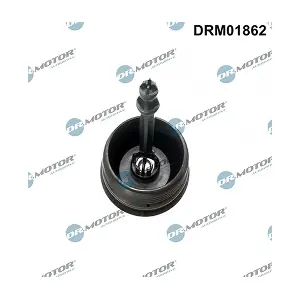 DRM01862 LIZARTE