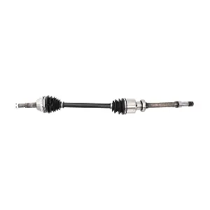 LIZARTE DS1280