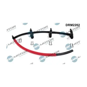 DRM2202 LIZARTE