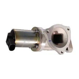 EGR024 LIZARTE