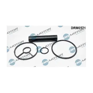 DRM0571 LIZARTE