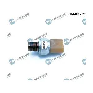 DRM01789 LIZARTE