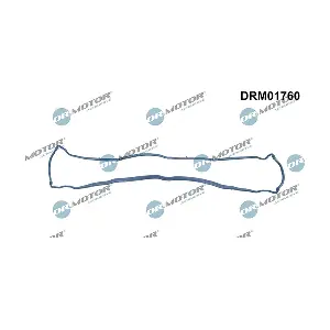 DRM01760 LIZARTE