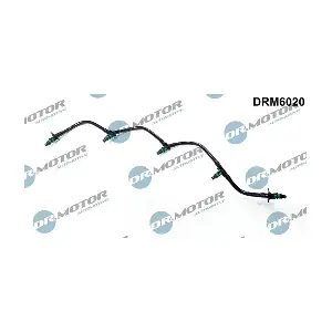 DRM6020 LIZARTE