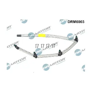 DRM6003 LIZARTE