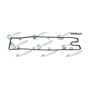 DRM0234 LIZARTE
