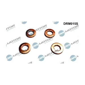 DRM015S LIZARTE