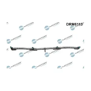 DRM6113 LIZARTE