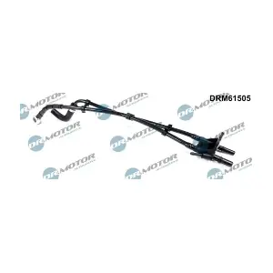 DRM61505 LIZARTE