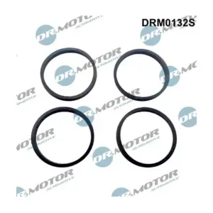 DRM0132S LIZARTE