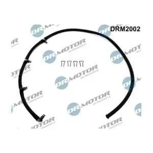 DRM2002 LIZARTE