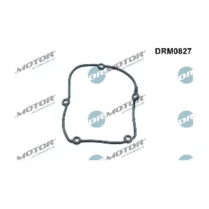 DRM0827 LIZARTE