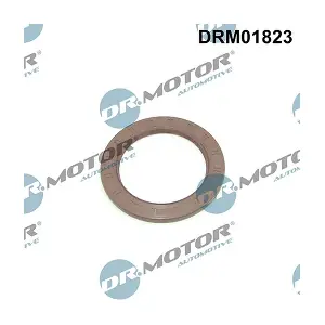 LIZARTE DRM01823