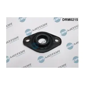 DRM0215 LIZARTE