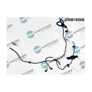DRM18506 LIZARTE