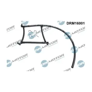 DRM16001 LIZARTE