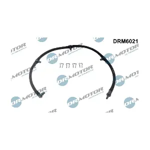 DRM6021 LIZARTE