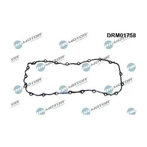 DRM01758 LIZARTE