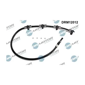 DRM12012 LIZARTE