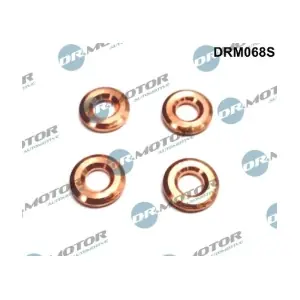 DRM068S LIZARTE