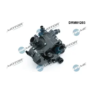 DRM01203 LIZARTE