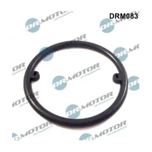 DRM083 LIZARTE