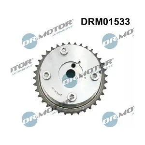 DRM01533 LIZARTE