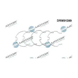 DRM01289 LIZARTE