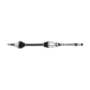 LIZARTE DS1287