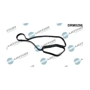 DRM0296 LIZARTE