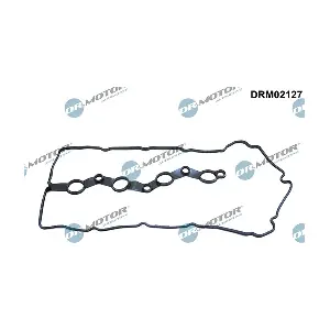 DRM02127 LIZARTE