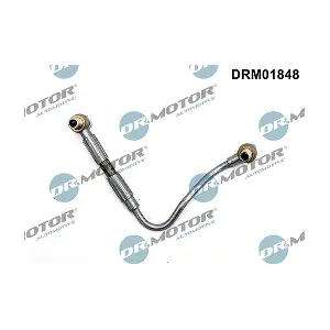 DRM01848 LIZARTE