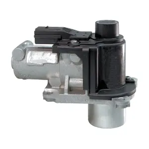 LIZARTE EGR025