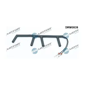 DRM0839 LIZARTE