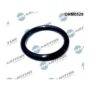 DRM0529 LIZARTE