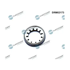 DRM02173 LIZARTE