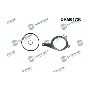 DRM01720 LIZARTE