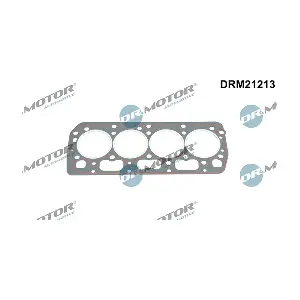 DRM21213 LIZARTE