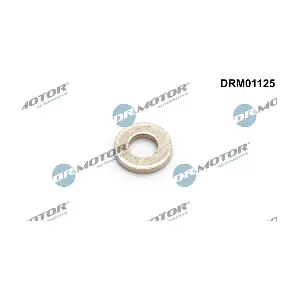DRM01125 LIZARTE