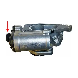 EGR026 LIZARTE