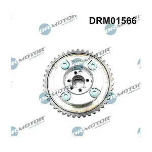 DRM01566 LIZARTE